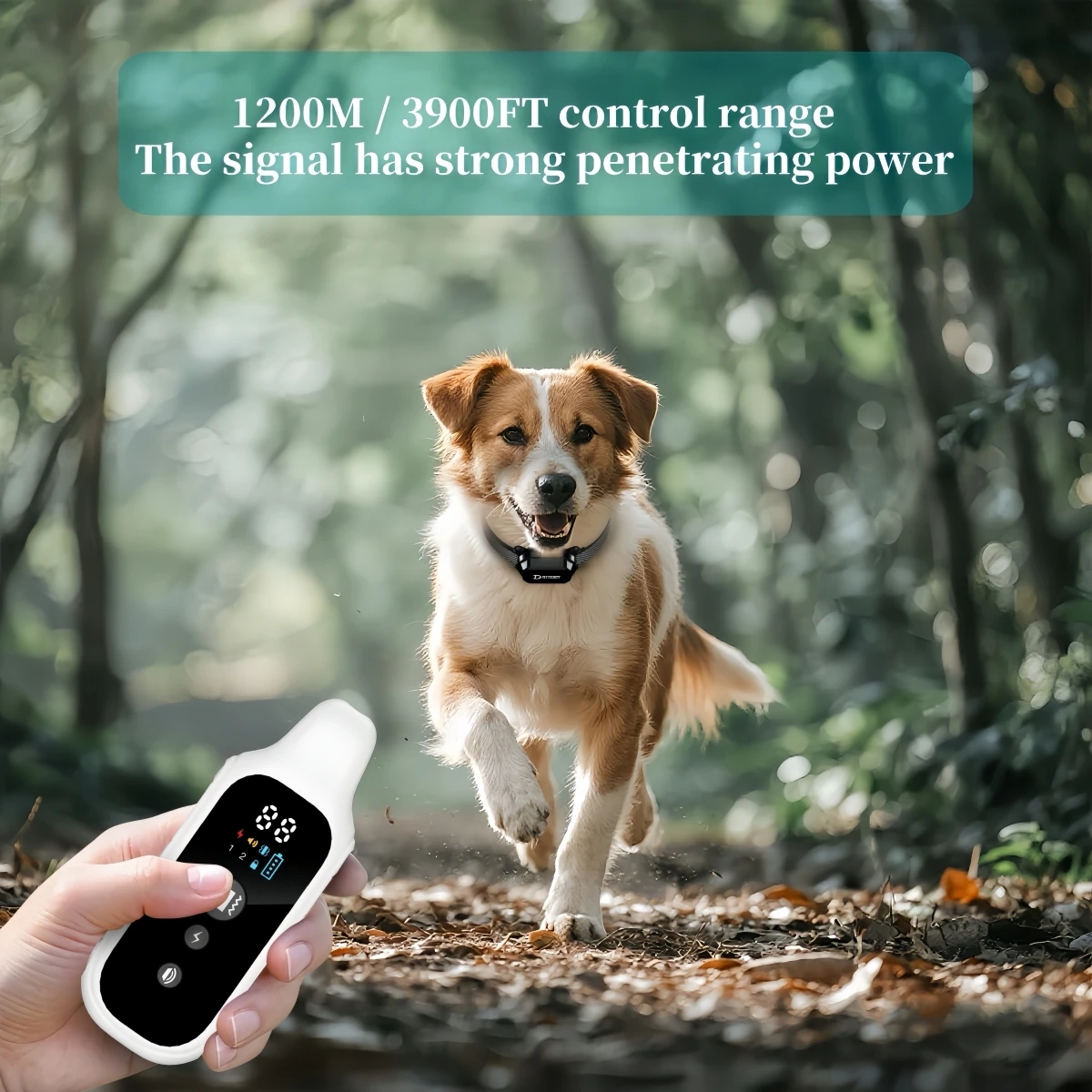 800m Digital Dog Training Collar Waterproof Rechargeable Remote Control Pet with LCD Display for All Size Shock Vibration Sound