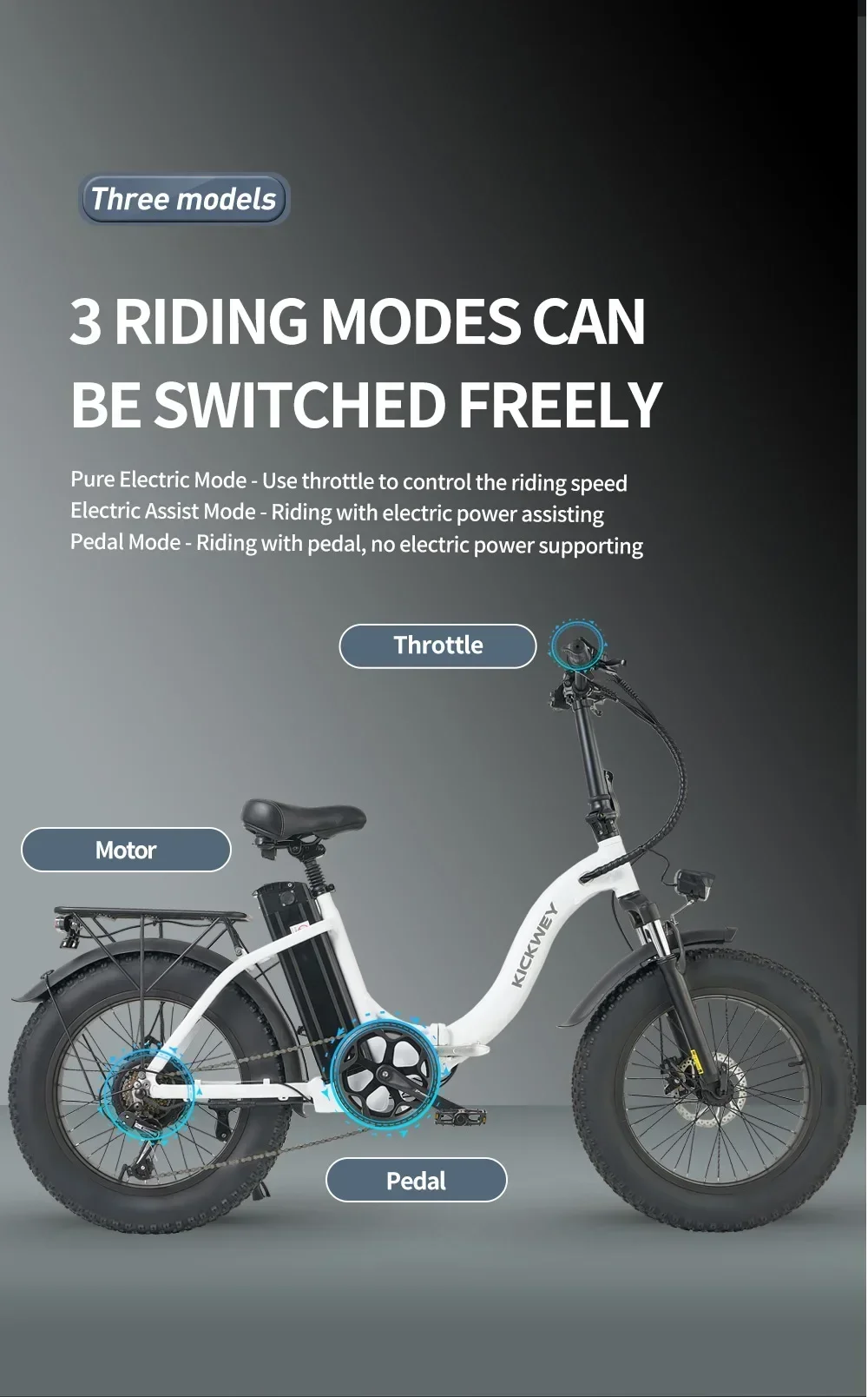 1000W motor 48V 20AH battery Australian warehouse Ebike L20 Fatbike Folding 20 Inch MTB Snow Bike with 50KM/H Electric