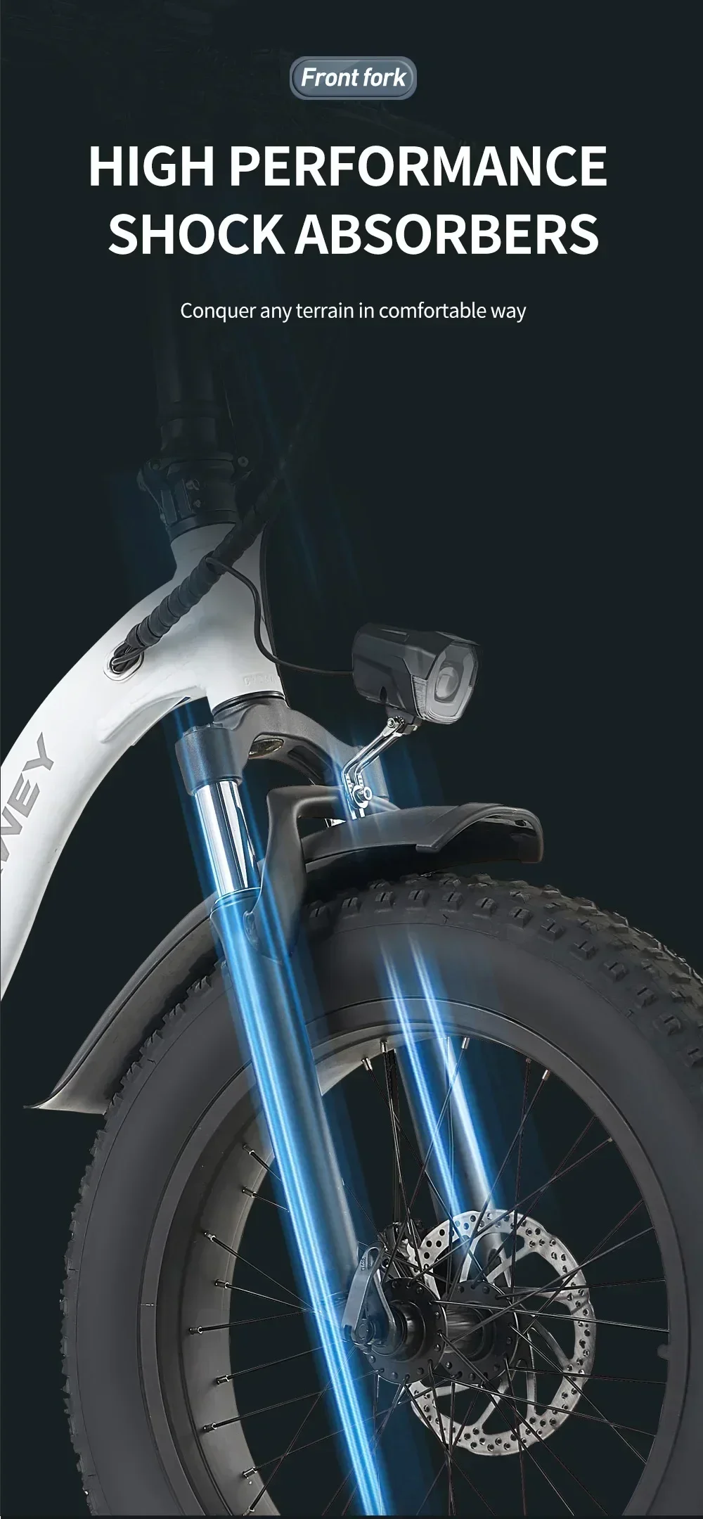 1000W motor 48V 20AH battery Australian warehouse Ebike L20 Fatbike Folding 20 Inch MTB Snow Bike with 50KM/H Electric